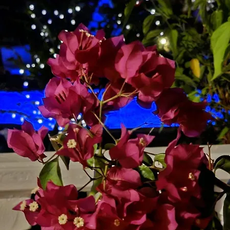 Bade Villa *