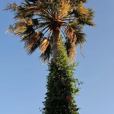 Bade Villa Dalyan