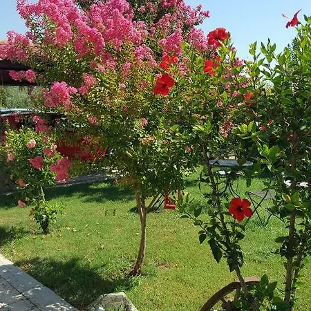 Bade Villa *
